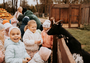 Dzieci oglądają kozę